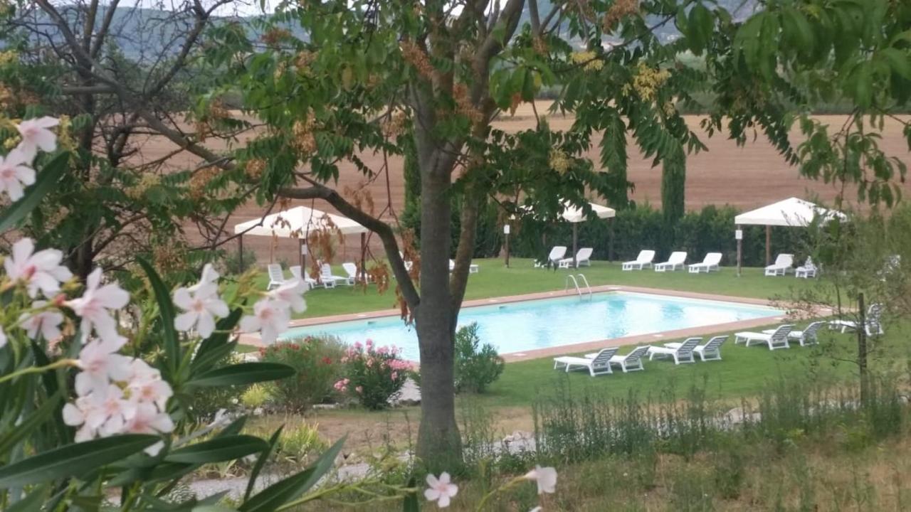 Casa Country House Girasole Vakantie Huis-Wakacje Huis Asciano Bagian luar foto
