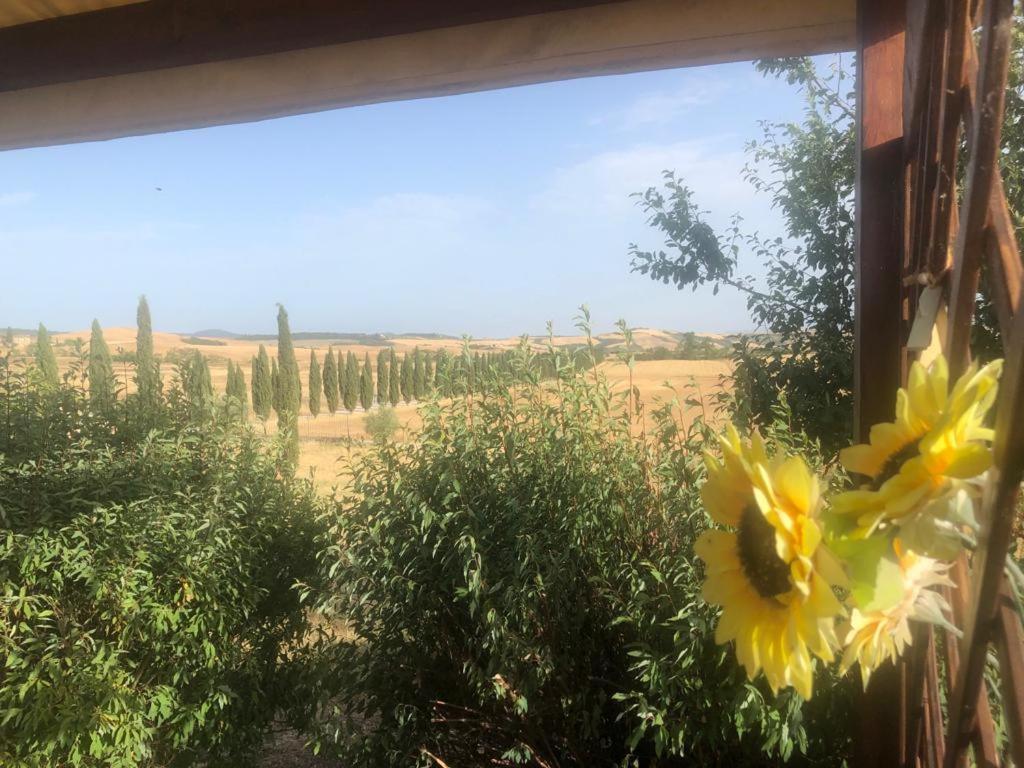 Casa Country House Girasole Vakantie Huis-Wakacje Huis Asciano Bagian luar foto