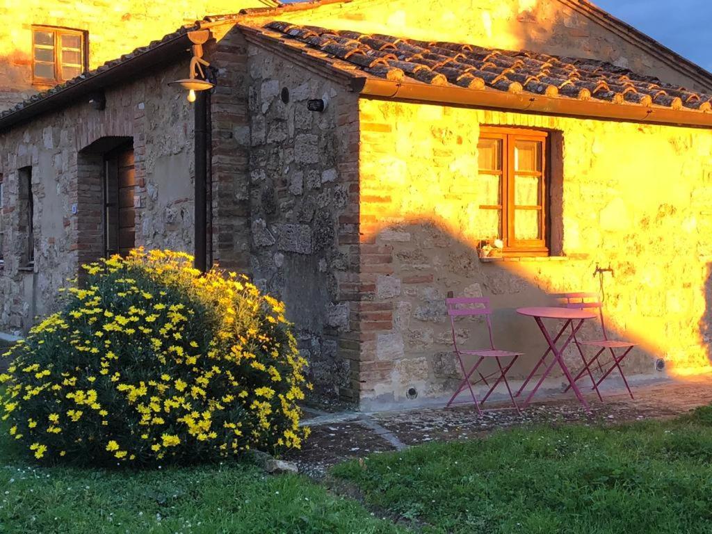 Casa Country House Girasole Vakantie Huis-Wakacje Huis Asciano Bagian luar foto