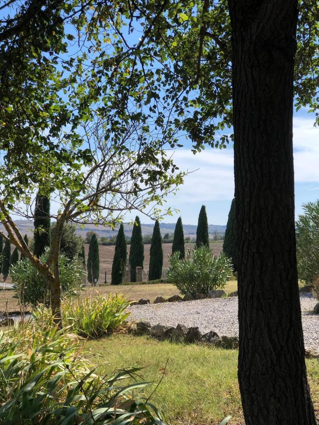 Casa Country House Girasole Vakantie Huis-Wakacje Huis Asciano Bagian luar foto
