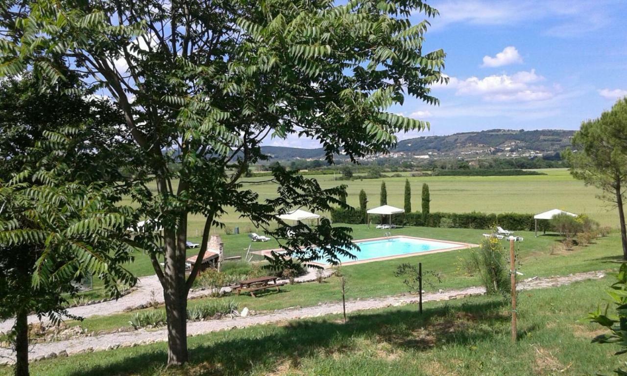 Casa Country House Girasole Vakantie Huis-Wakacje Huis Asciano Bagian luar foto